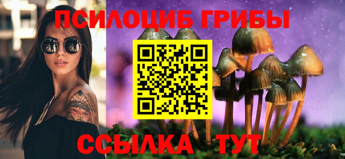 Псилоцибиновые грибы GOLDEN TEACHER  Псилоцибиновые грибы Magic Shrooms  Удомля  Вход с VPN 
