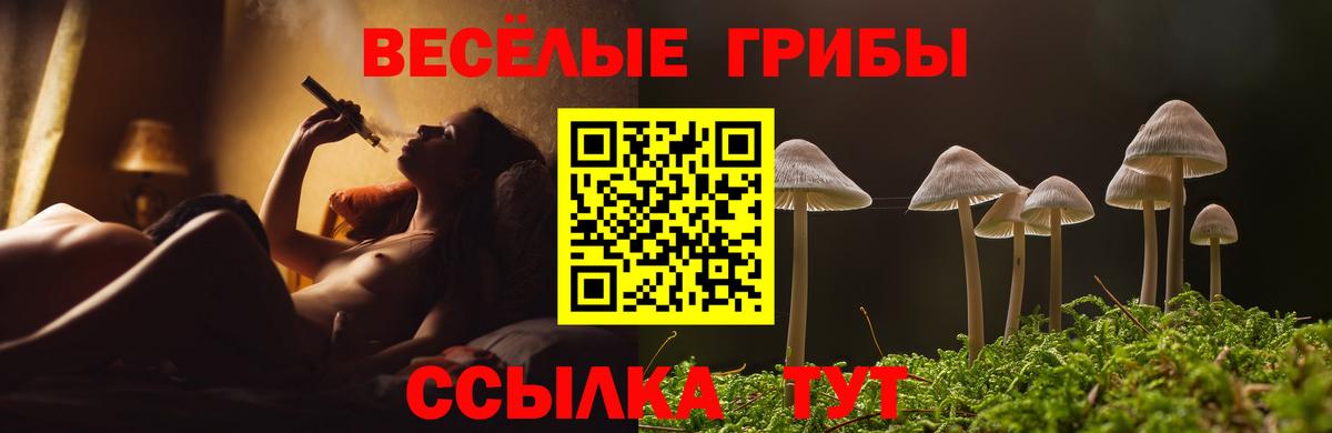 Галлюциногенные грибы Psilocybe Удомля